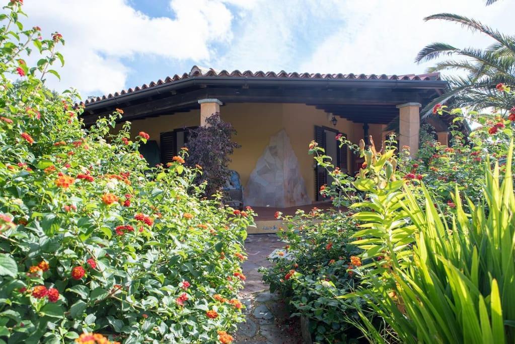 Residence Villa Smeralda Telti Kültér fotó